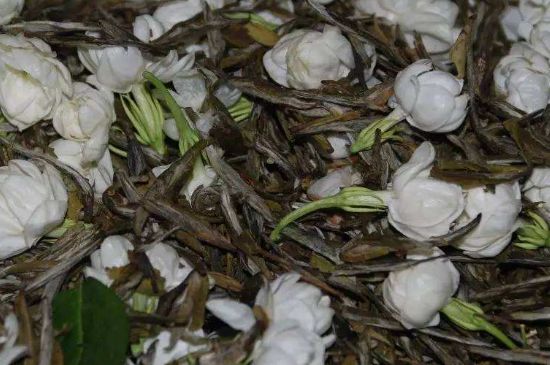 茉莉龍珠怎么做的，茉莉龍珠的制作工藝