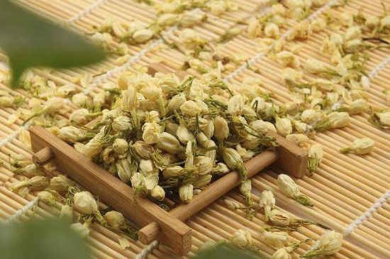 茉莉花茶與什么相克，茉莉花搭配禁忌