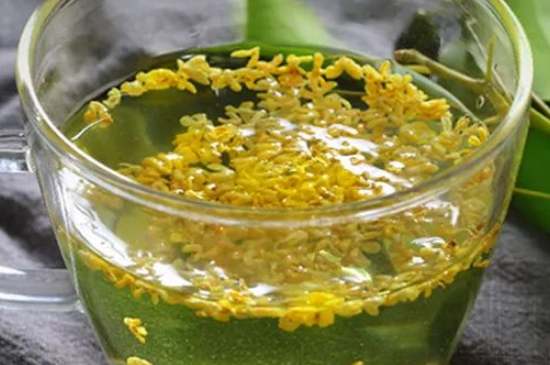 茉莉茶一次泡幾朵，茉莉茶放多少