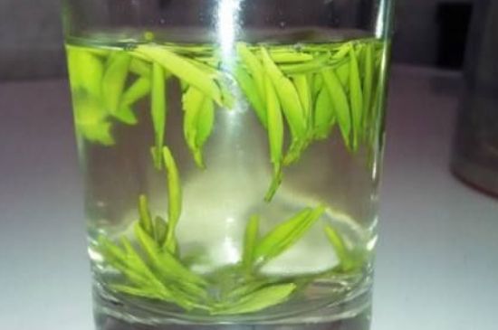 翠眉是什么茶，適合什么時候喝