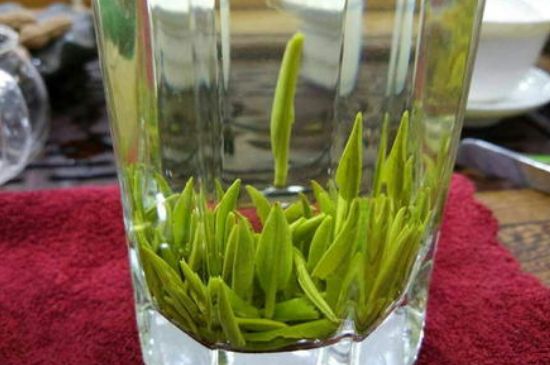 雀舌有一股青草味，雀舌為什么有青草味？