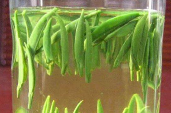 竹葉青和毛尖的區(qū)別，毛尖和竹葉青怎么分辨？