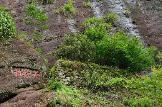 武夷巖茶大紅袍，喝起來是什么味道？