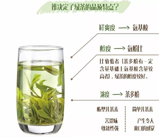 什么綠茶口味重口感濃郁，口味比較重的綠茶都有那些？