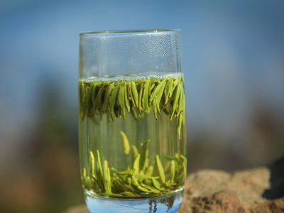 竹葉青茶怎么樣，檔次較高味道略苦價格比較貴