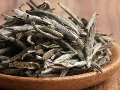 白茶有哪些品種排名，<a href=http://m.whyouxin.com/fenlei/baicha/ target=_blank class=infotextkey>白茶的種類</a>大全