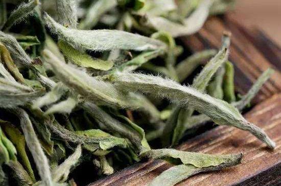 荒野銀針有什么特點(diǎn)，荒野銀針的味道口感咋樣？