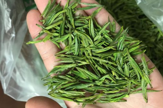 什么綠茶茶葉唇齒留香，哪個品種綠茶香氣好？