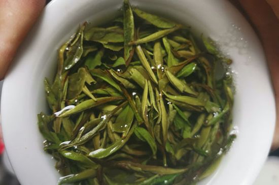 什么人不能喝白茶，白茶不宜什么人喝？