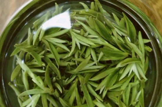 什么綠茶茶葉唇齒留香，哪個品種綠茶香氣好？