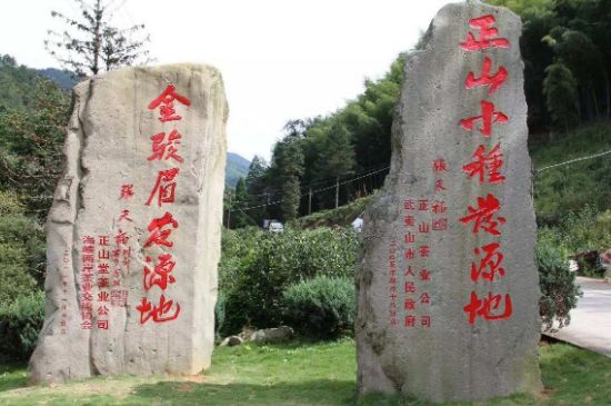 300塊錢的金駿眉能喝嗎，兩三百多金駿眉和一千多區(qū)別