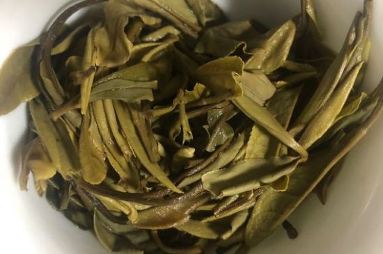 三年白茶賽砒霜，這是真的嗎？