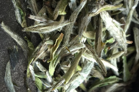 白毫銀針年份久的有什么香，陳年白毫銀針的香氣