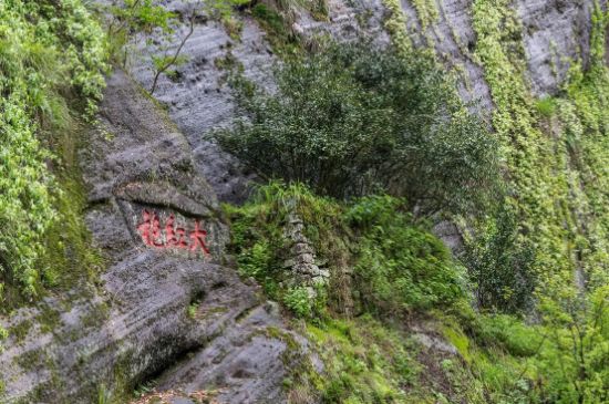 大紅袍為什么沒保質期，武夷巖茶大紅袍能放幾年？