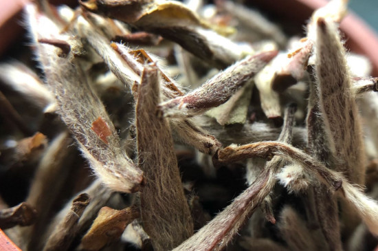 白毫銀針年份越久越好嗎，銀針白毫是否越陳越好