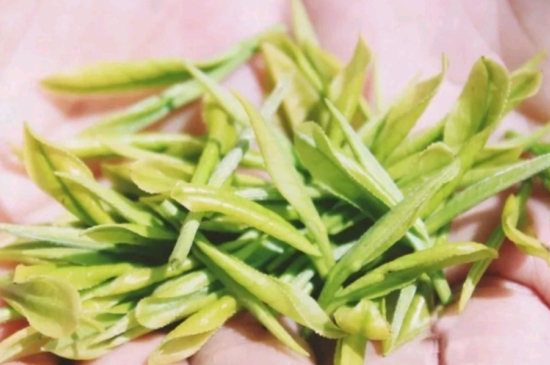 龍井是明前的好還是雨前的好，明前茶和雨前茶哪個(gè)好喝？