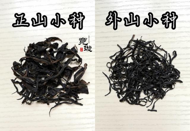 正山小種很細還很黑亮，正山小種越細越好嗎