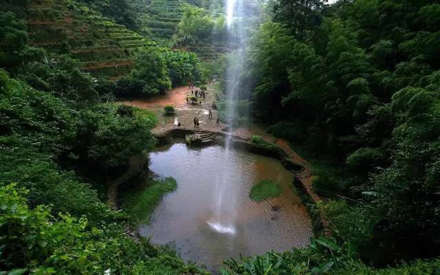 武夷山為什么盛產(chǎn)茶葉，武夷山茶為什么好喝？