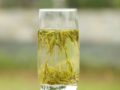 霍山黃芽算是好茶嗎，霍山黃芽屬于什么茶？