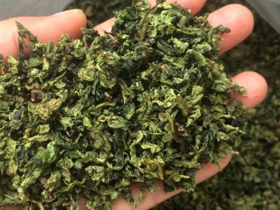 鐵觀音毛茶茶?？梢耘菟葐幔F觀音帶梗是不是好茶？