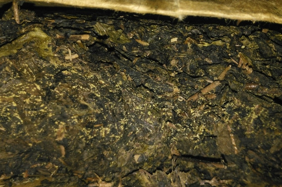 黑茶茯茶保存五大忌，茯茶收藏的注意事項(xiàng)