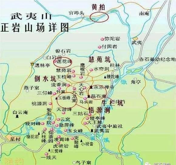 300塊錢的金駿眉能喝嗎，兩三百多金駿眉和一千多區(qū)別