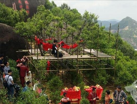 宋種一號(hào)價(jià)值為什么高，鳳凰單樅宋種1號(hào)價(jià)格與產(chǎn)量多少？