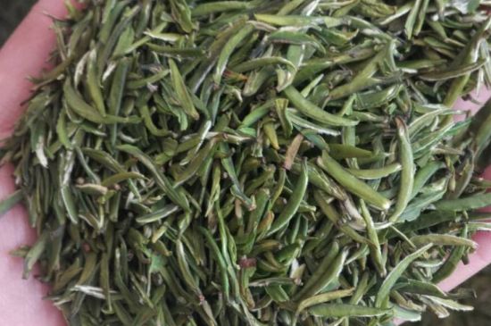 金壇雀舌算不算好茶，金壇雀舌屬于什么檔次茶葉？
