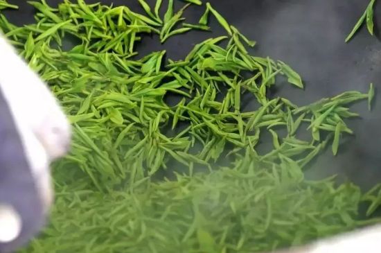 碧螺春為什么泡水渾濁，碧螺春茶葉泡水感覺(jué)很臟是混濁的