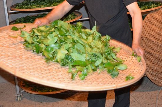 鐵觀音加香精騙局，鐵觀音的香味是添加香精了嗎？