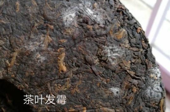 西湖龍井茶毫和發(fā)霉區(qū)別圖片，長霉的龍井茶葉會是什么樣？